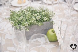 colores-de-boda-organizacion-bodas-wedding-planner-decoracion-original-elena-ruben-611