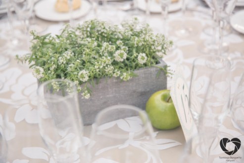 colores-de-boda-organizacion-bodas-wedding-planner-decoracion-original-elena-ruben-611